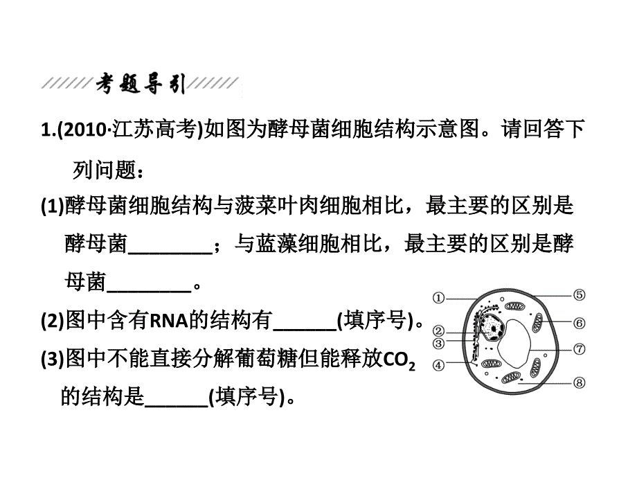 高中生物(人教版)专题1第2讲生命的结构基础与细胞生命历程课件_第4页