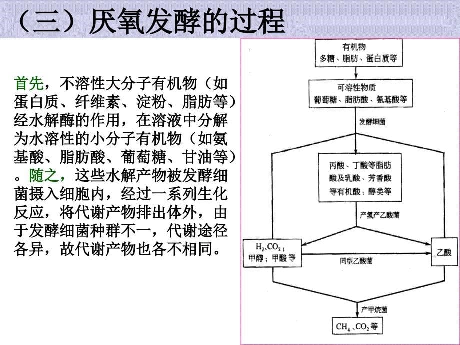 固体废物处理与处置(厌氧发酵)_第5页