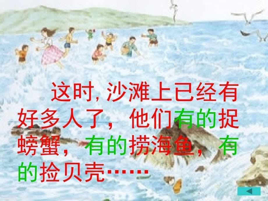 赶海_ppt_课件第二课时._第5页