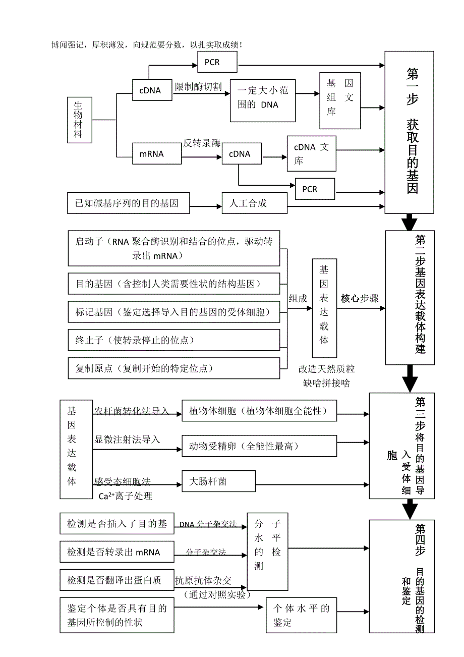 选修三讲义b5纸._第3页