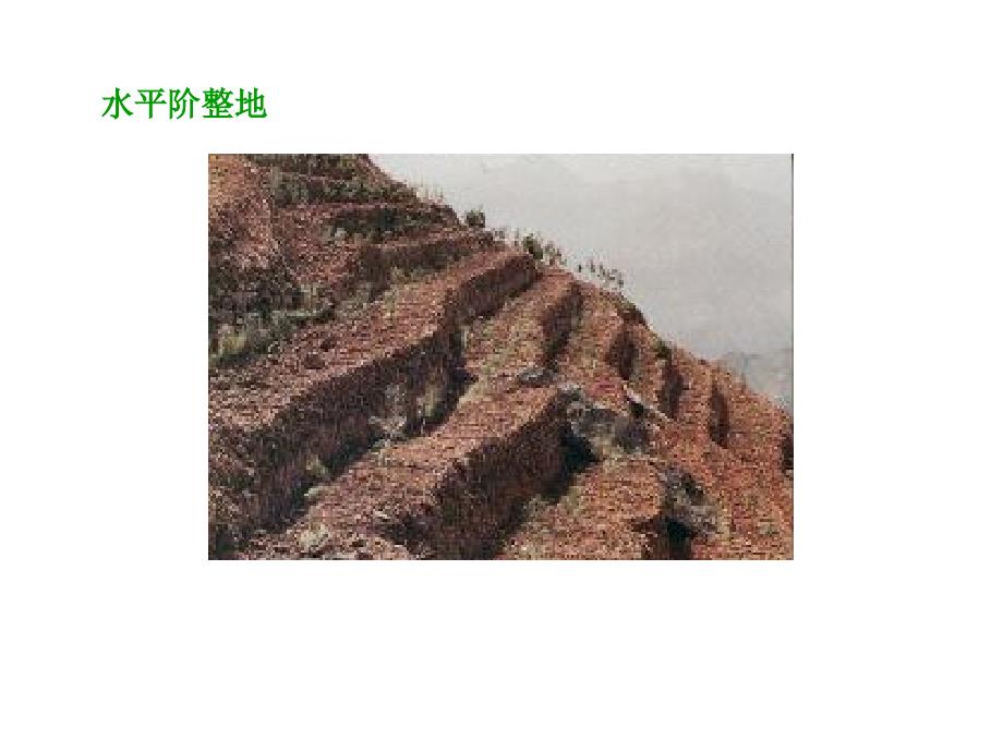 山区林草措施_第4页