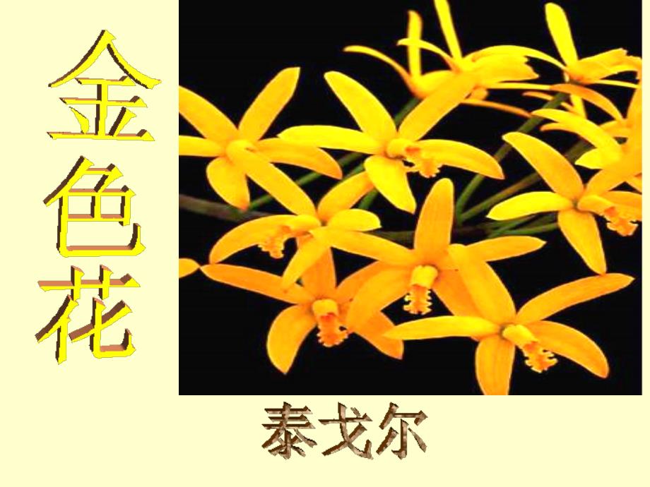 《金色花》优质课件概要_第3页