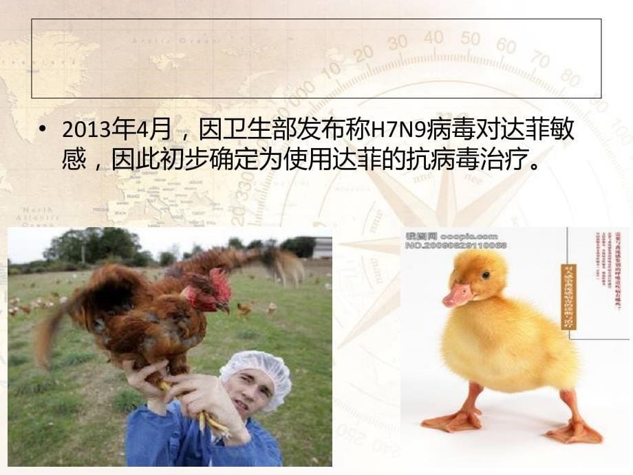 禽流感h7n9知识培训.._第5页