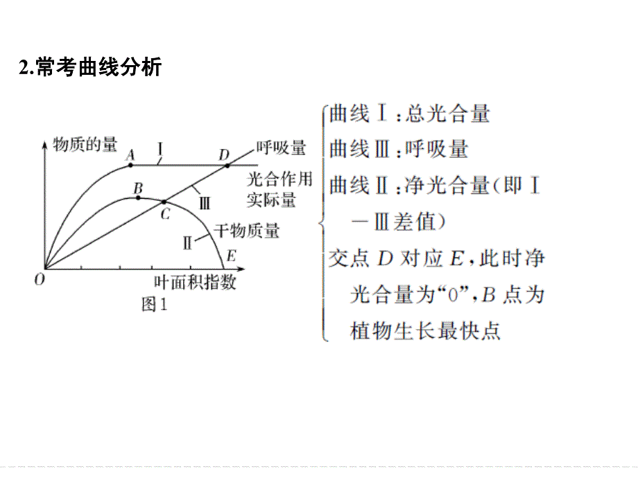 2018年届高考生物总复习补上一课2_“三率”测定与相关实验设计课件 (共51张)_第4页