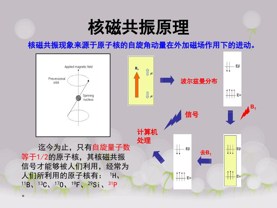 31p_nmr概要_第3页