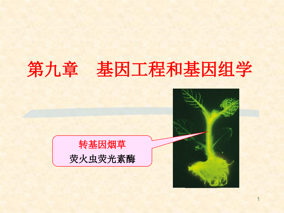 基因工程和基因组学 简介._第1页