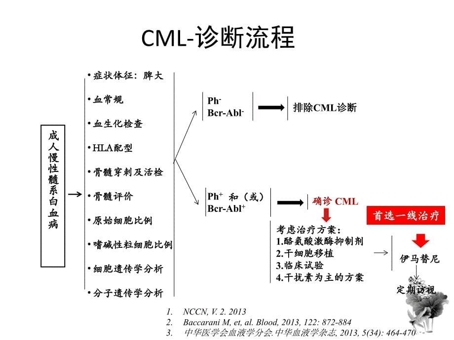 cml概述与格尼可经验分享_第5页