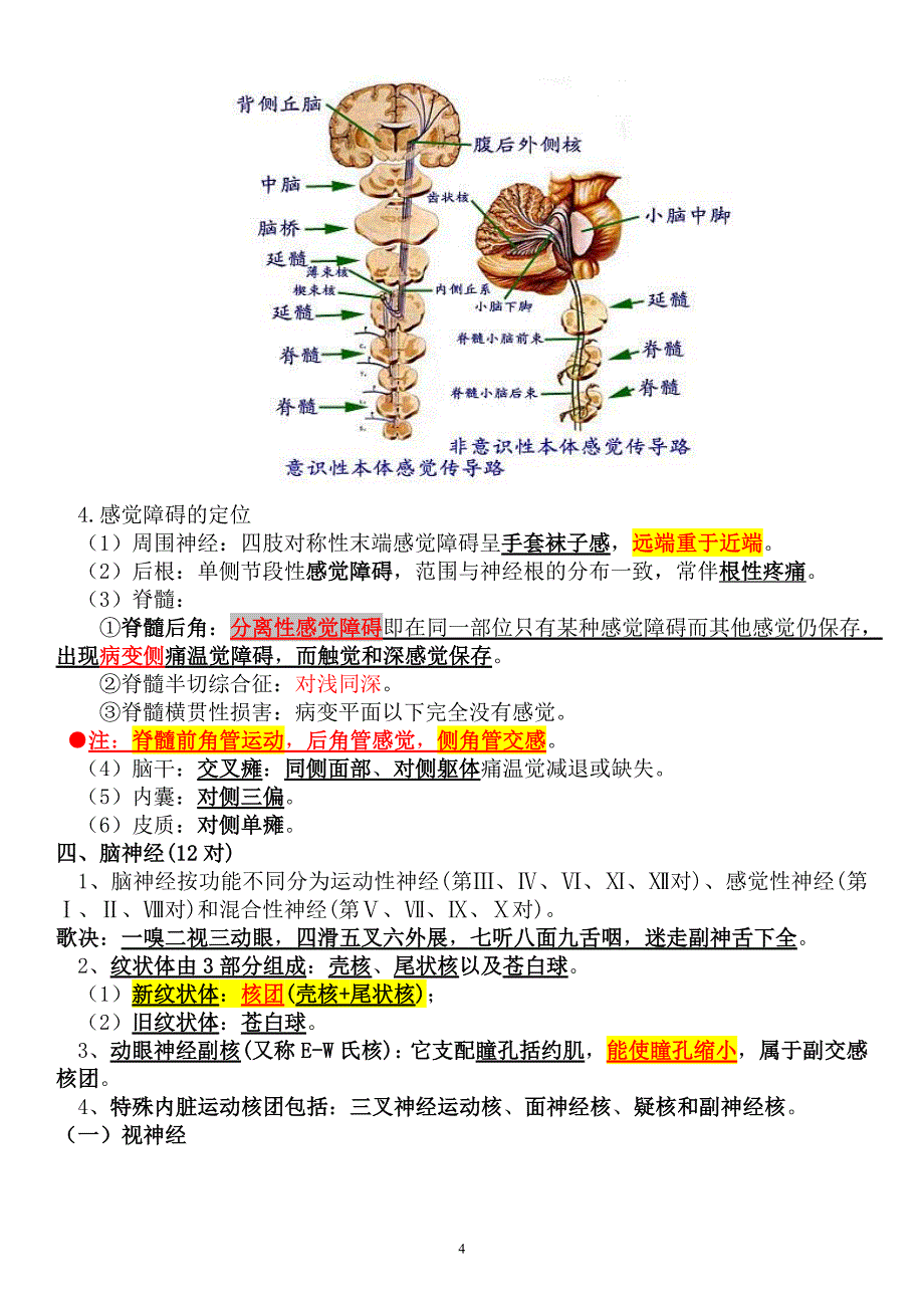 执业医师---精神神经系统汇总._第4页