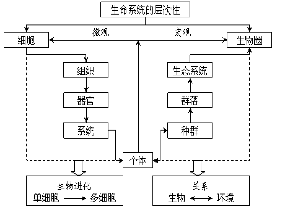 2016,必修1重点图形复习剖析_第4页