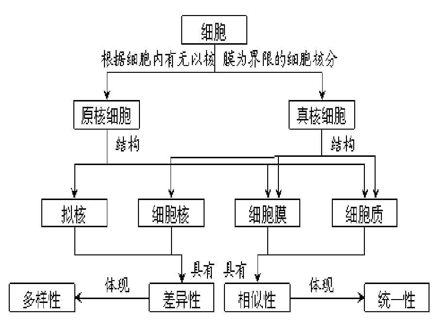 2016,必修1重点图形复习剖析_第5页