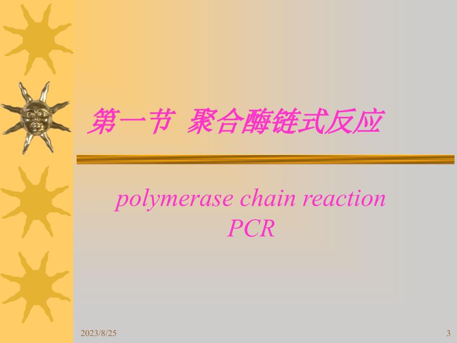 核酸的体外扩增(pcr)_第3页