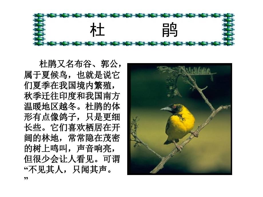 四年级语文下册夜莺的歌声ppt_第4页