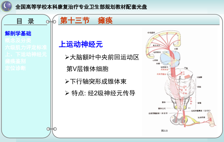 第一章症状学4._第4页