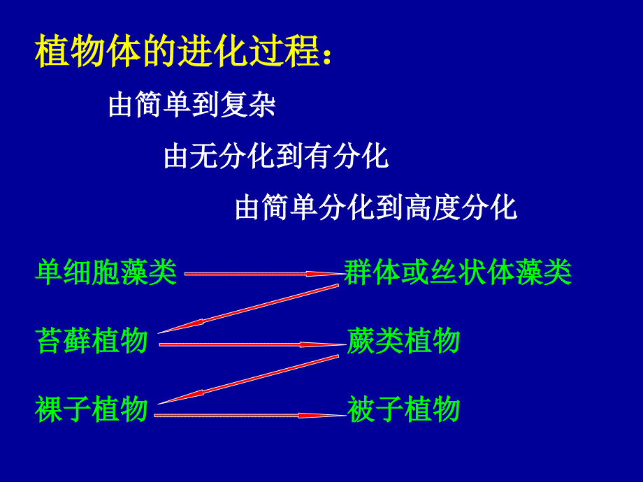 植物学-植物体的形态结构与发育(根)_第2页