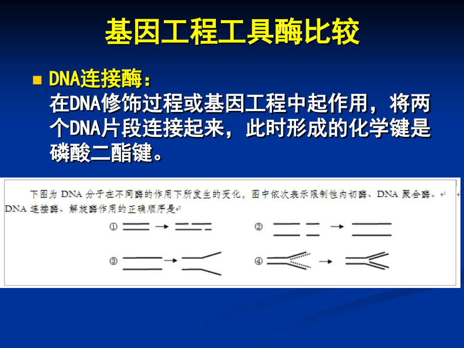 第三章__载体讲解_第4页