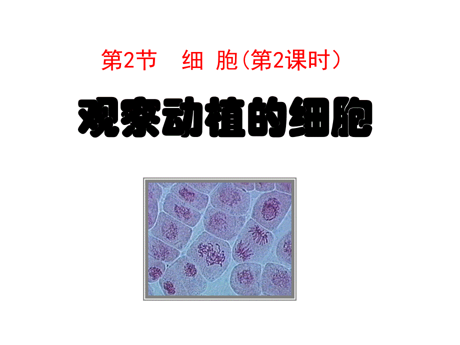 2.2细胞(第3课时)___观察细胞剖析_第1页