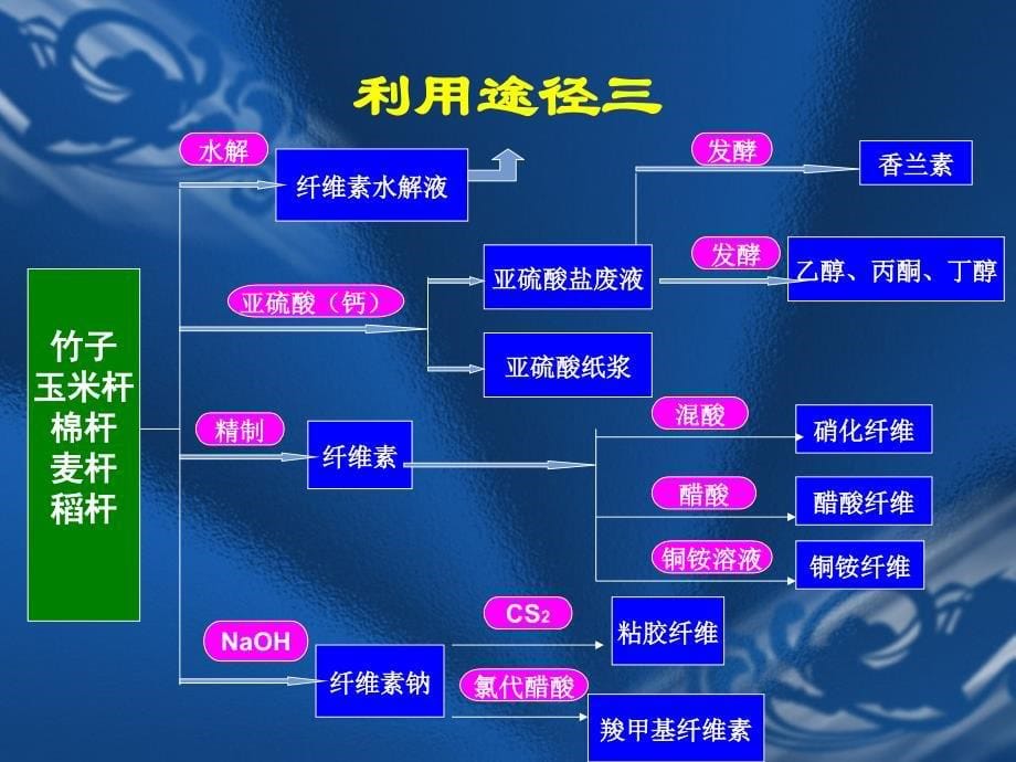 农副产品及其加工：7植物纤维类化工产品剖析_第5页