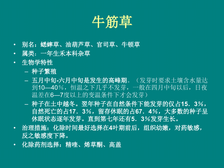 常见杂草汇总课件剖析_第3页