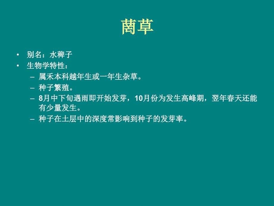 常见杂草汇总课件剖析_第5页