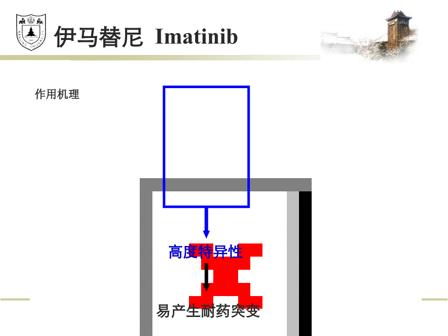 伊马替尼、达沙替尼与其衍生物研究_第4页