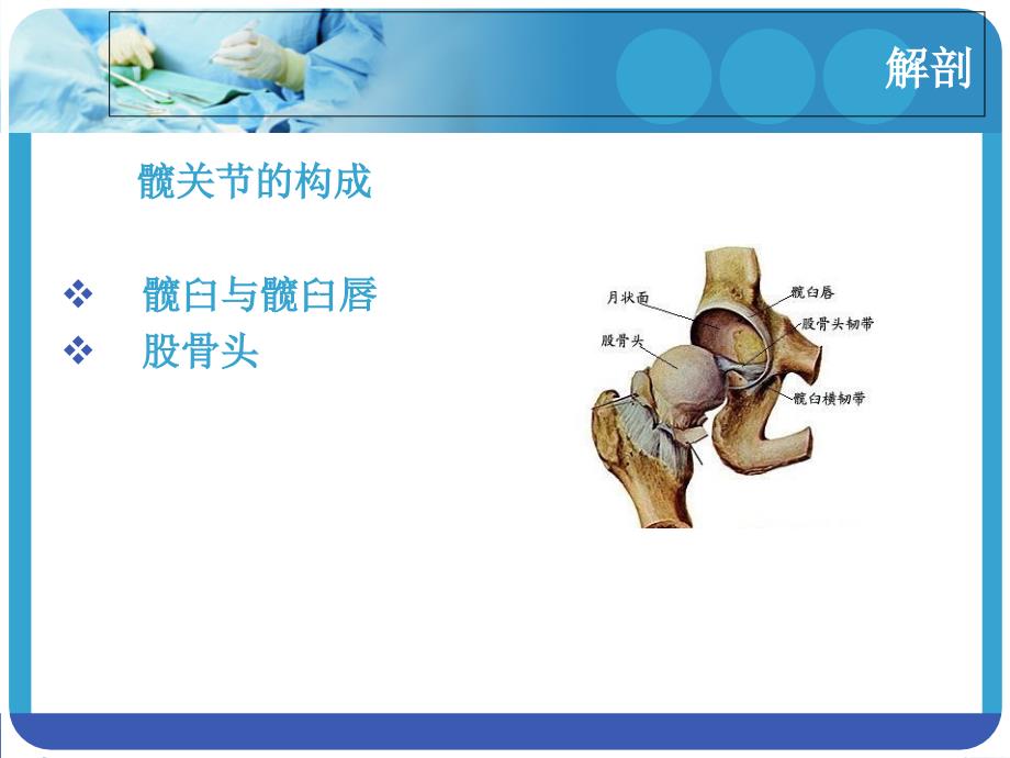 人工全髋关节置换术剖析_第2页