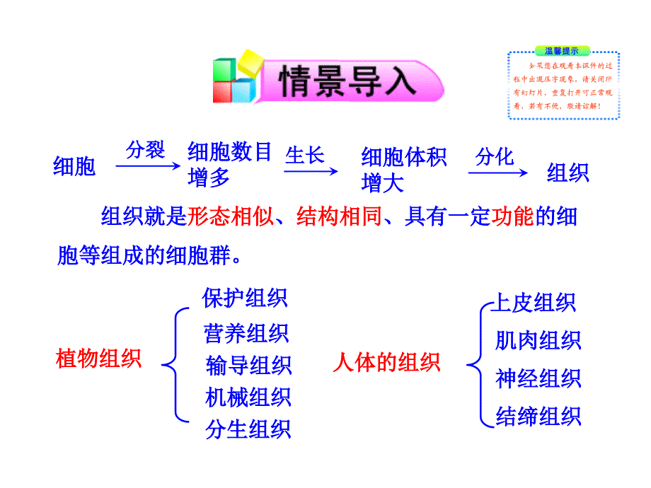 第二节多细胞生物体的组成讲解_第2页