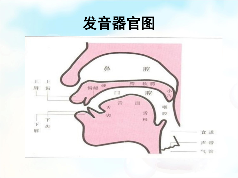 国际音标课程(sunny)剖析._第3页