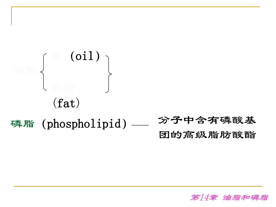 有机化学第14 章.油脂和磷脂_第3页