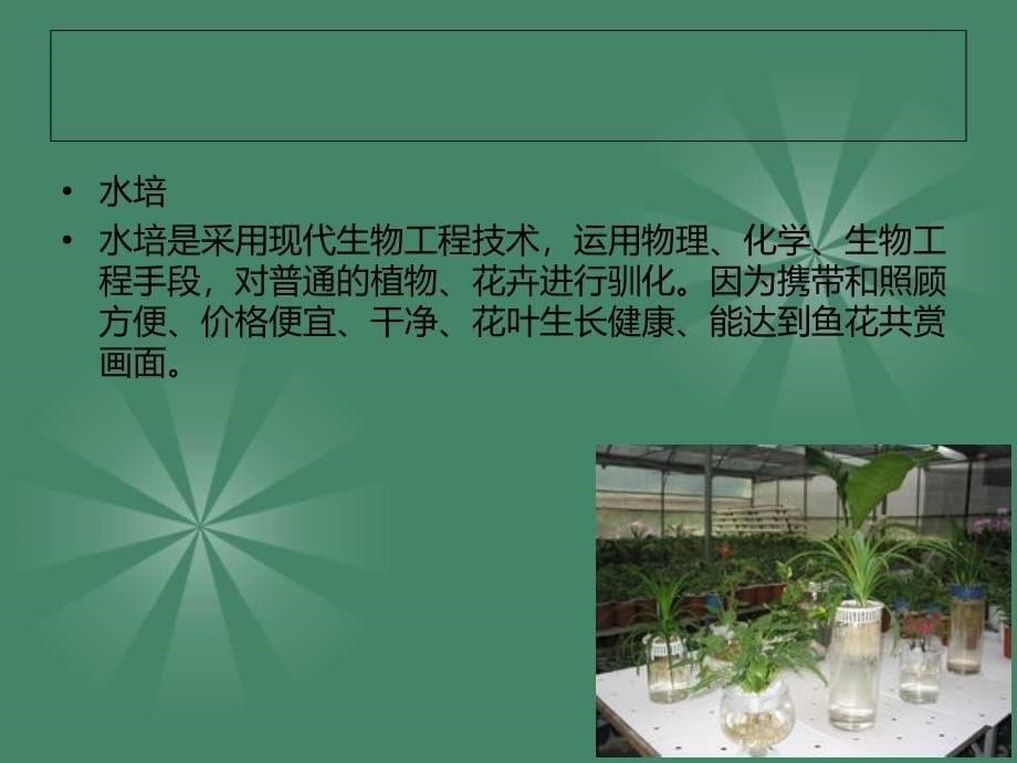 低碳农业郑钰琴_第5页
