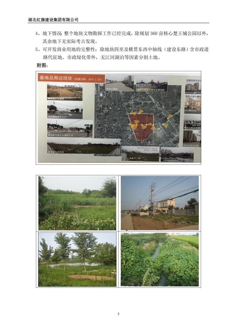 201604湖北云梦楚王城项目投资及合作报告_第5页