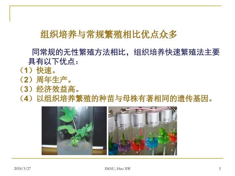 园艺植物组织培养-第1章讲诉._第5页