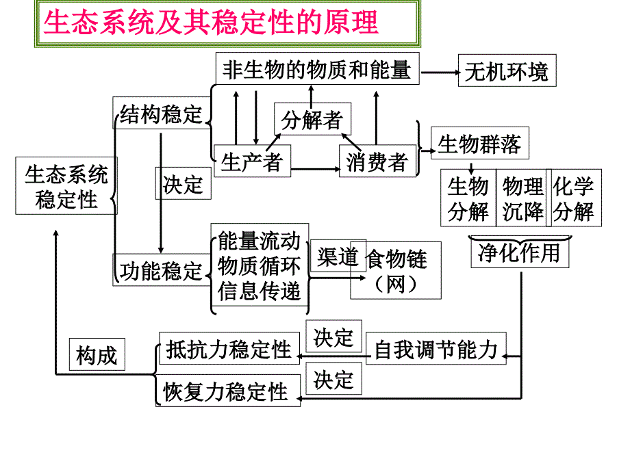 第五章生态系统及其稳定性复习课2013剖析._第3页