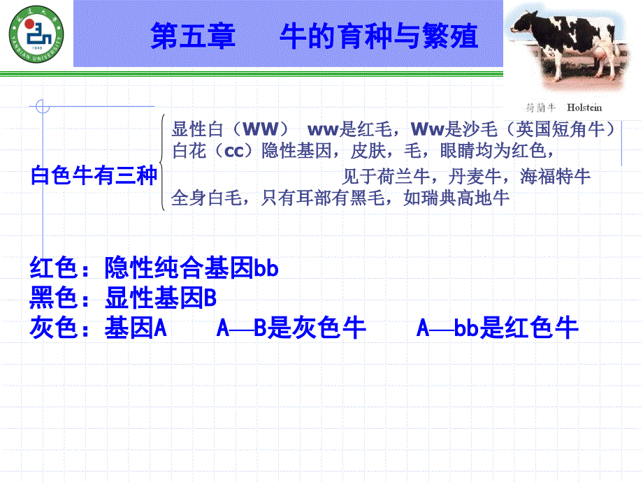 牛生产学(2012-2013)第五章(繁育)_第2页