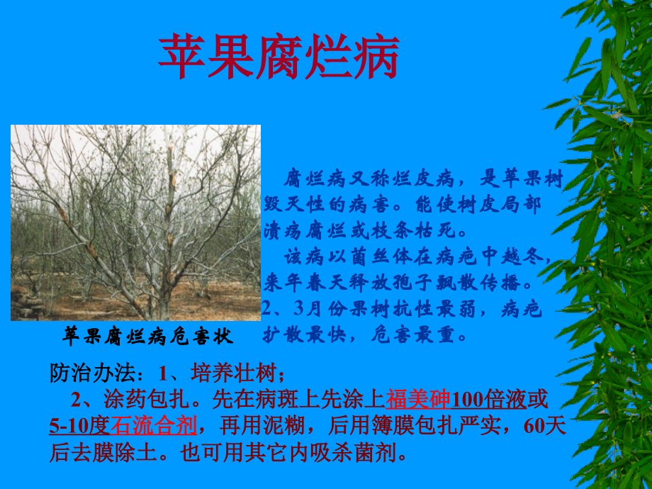 现代苹果病虫害防治技术剖析_第3页