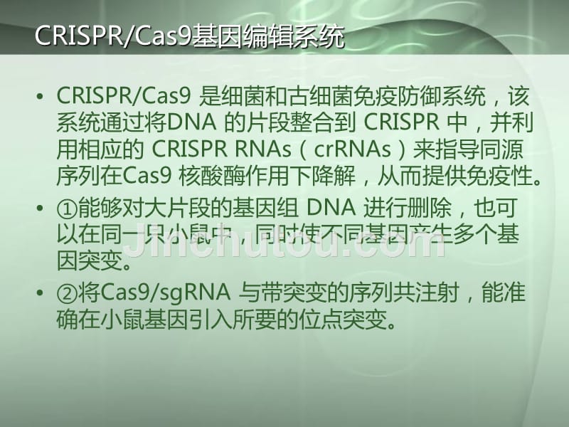 单核苷酸突变._第4页