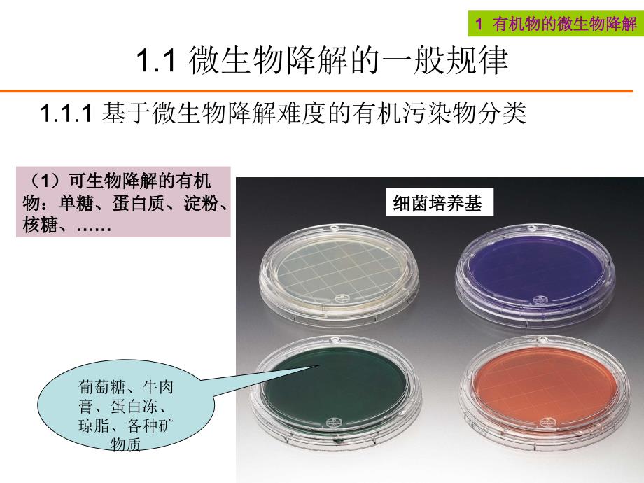 第九章污染物的微生物降解和转化_第3页