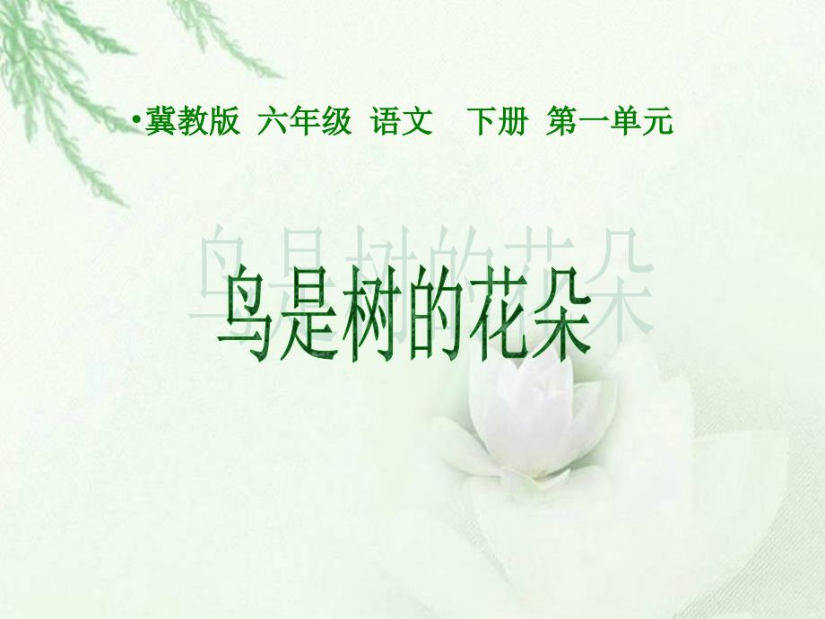 《鸟是树的花朵》课件概要_第1页