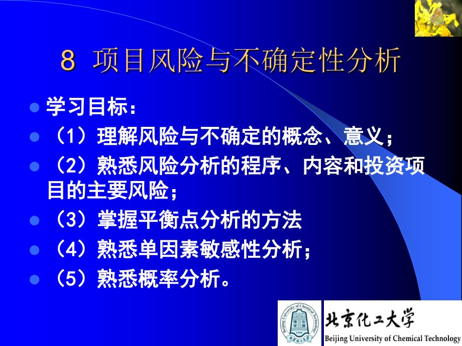 第8章项目风险与不确定性分析剖析._第3页