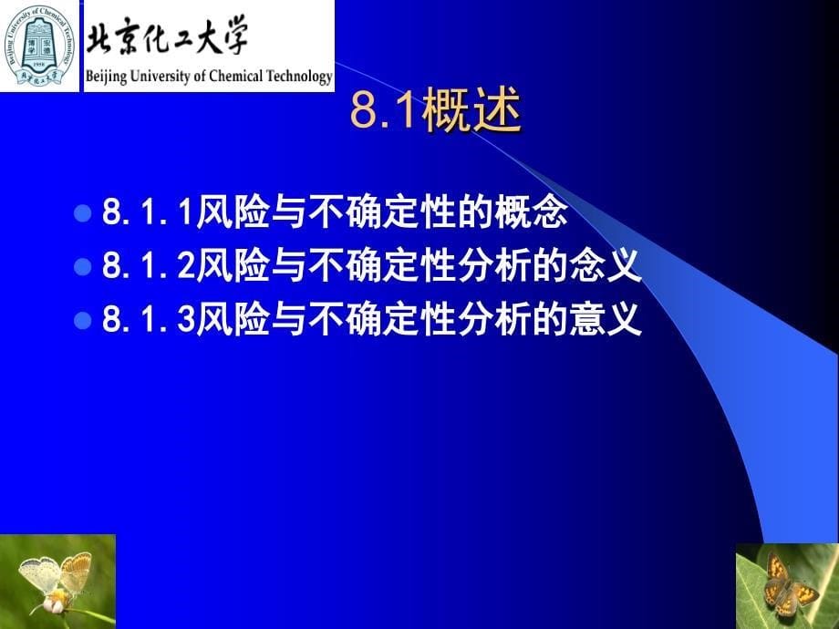 第8章项目风险与不确定性分析剖析._第5页