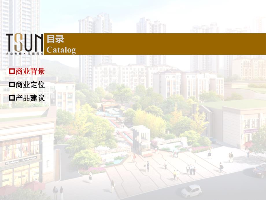 巨龙江山国际商业定位及四期产品建议1217剖析_第2页