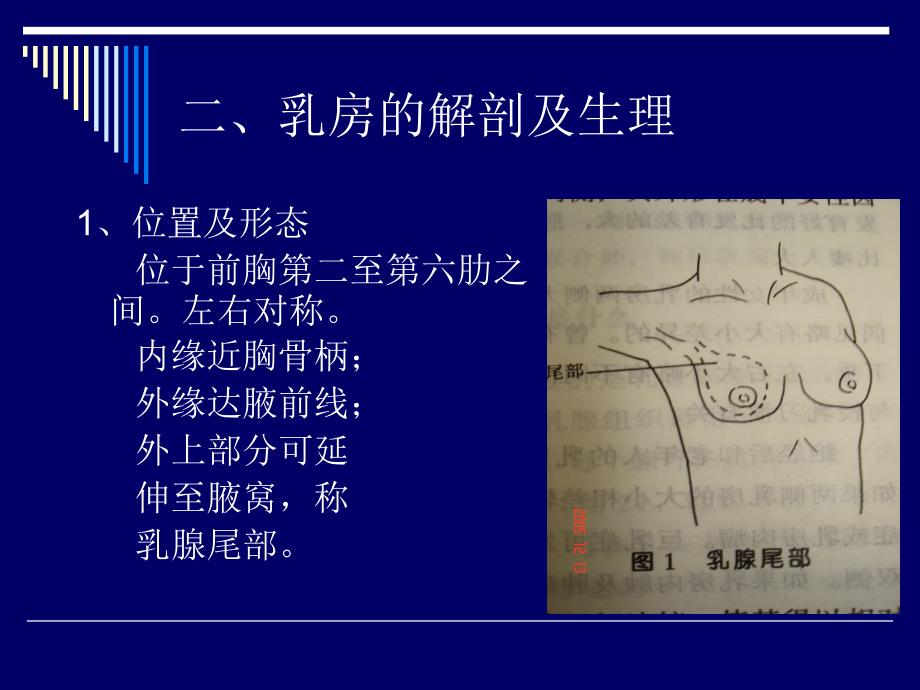 中医外科学-乳房疾病概述剖析_第3页