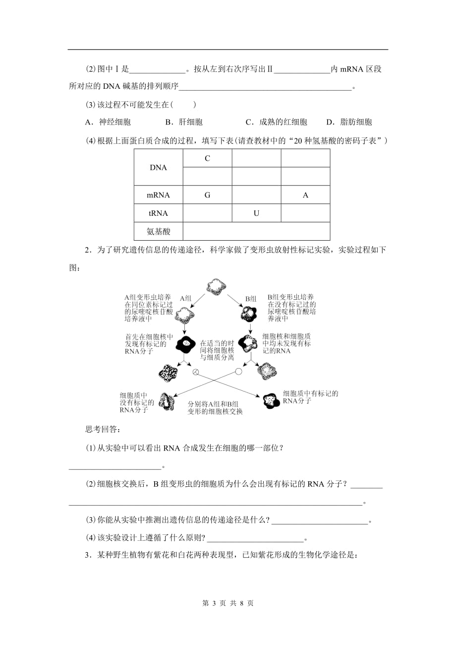 生物必修二第四章检测._第3页