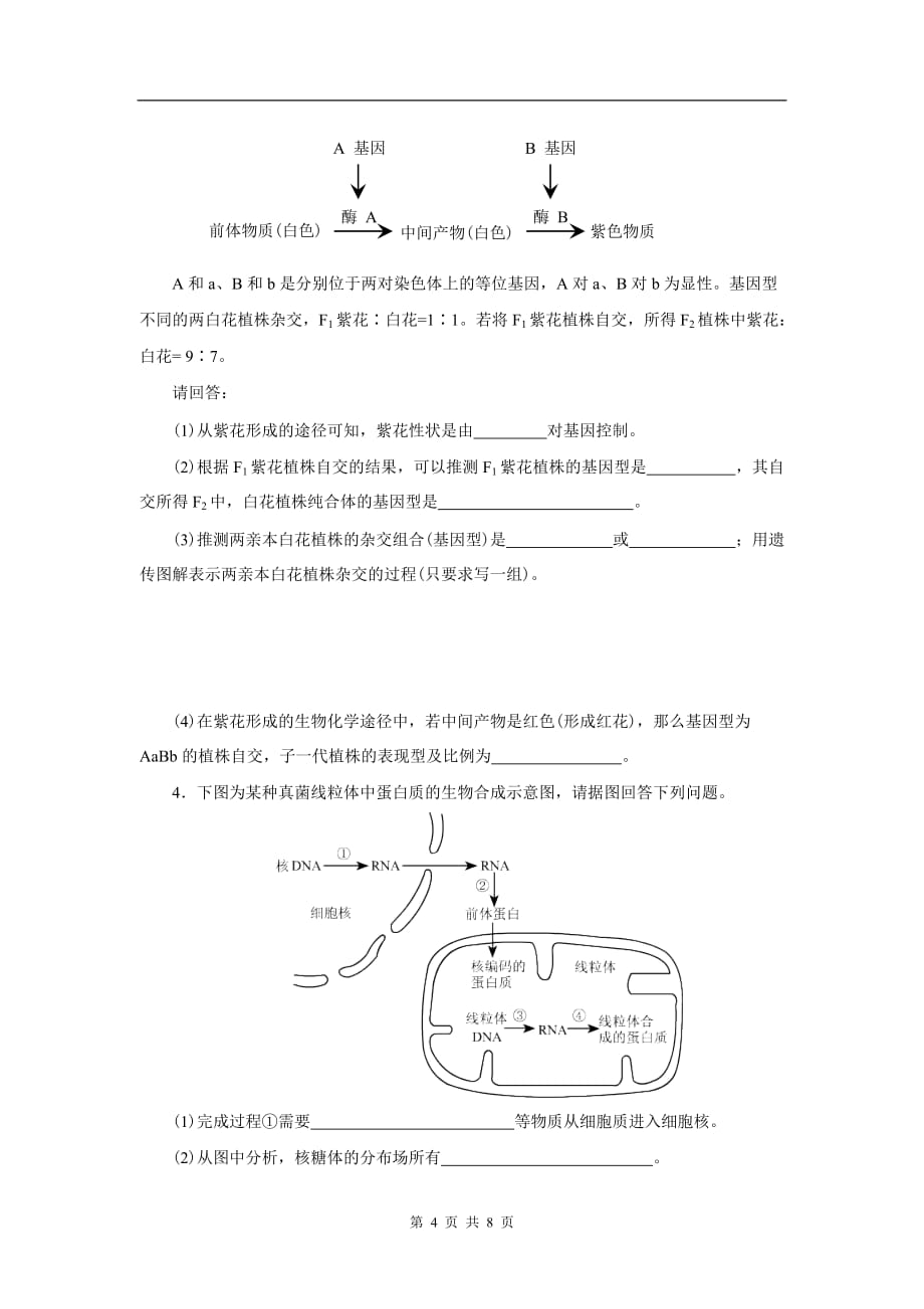 生物必修二第四章检测._第4页