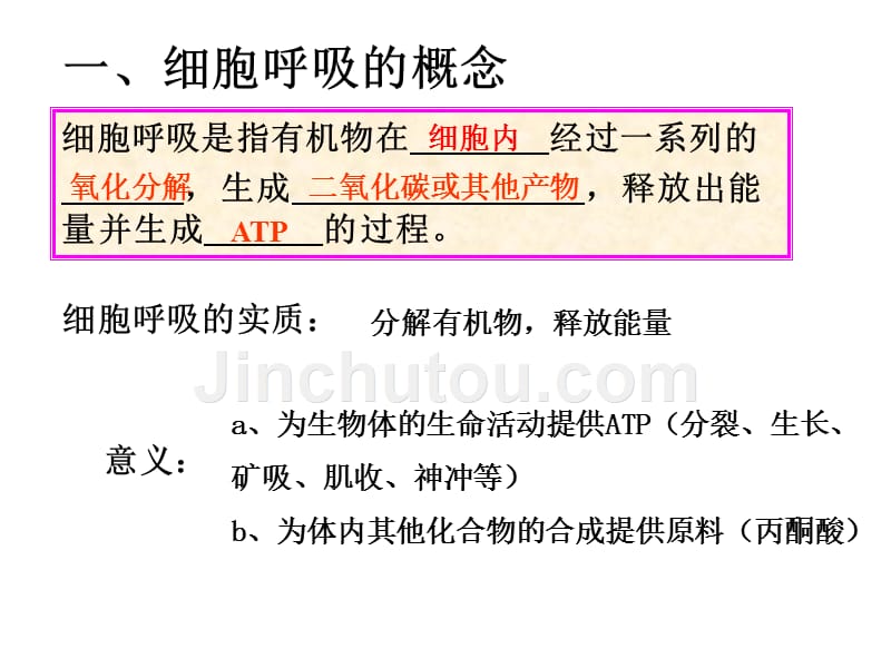 第11讲：细胞呼吸剖析_第2页