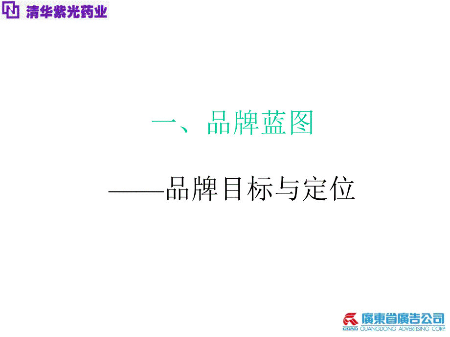 清华紫光品牌管理ppt模板_第2页