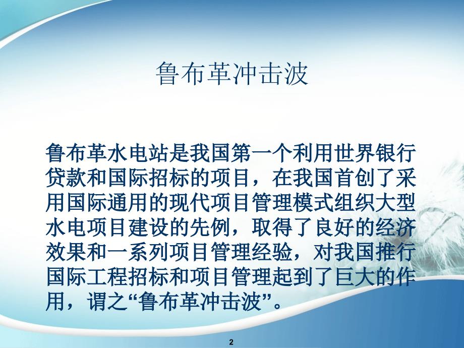 3布鲁革招投标案例分析剖析_第2页