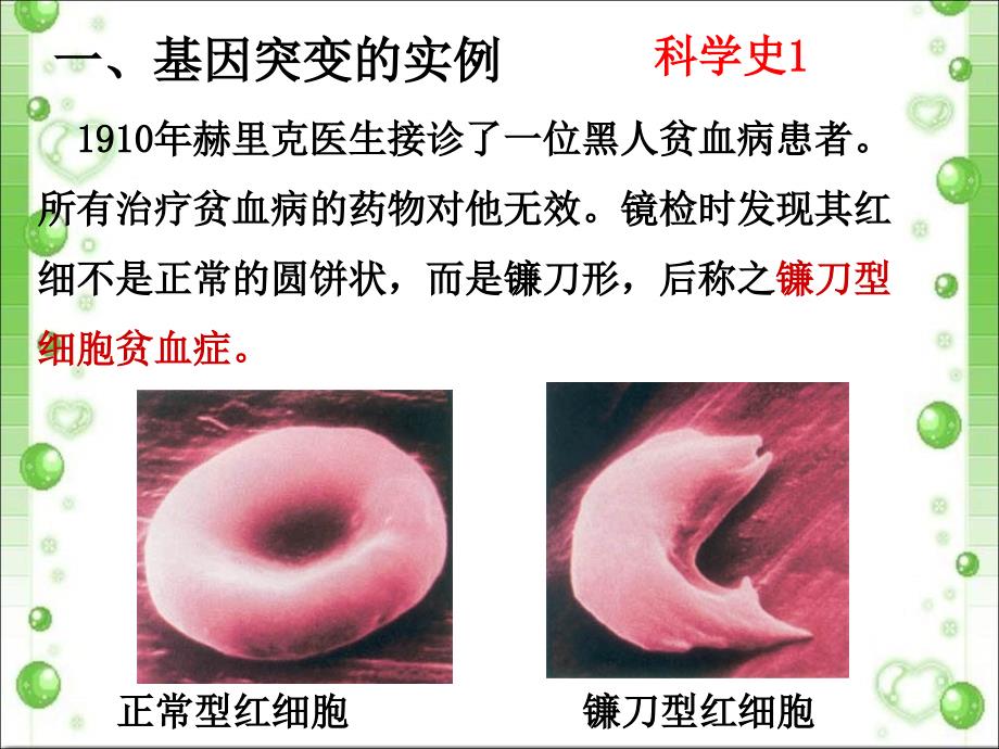 基因突变和基因重组剖析_第3页