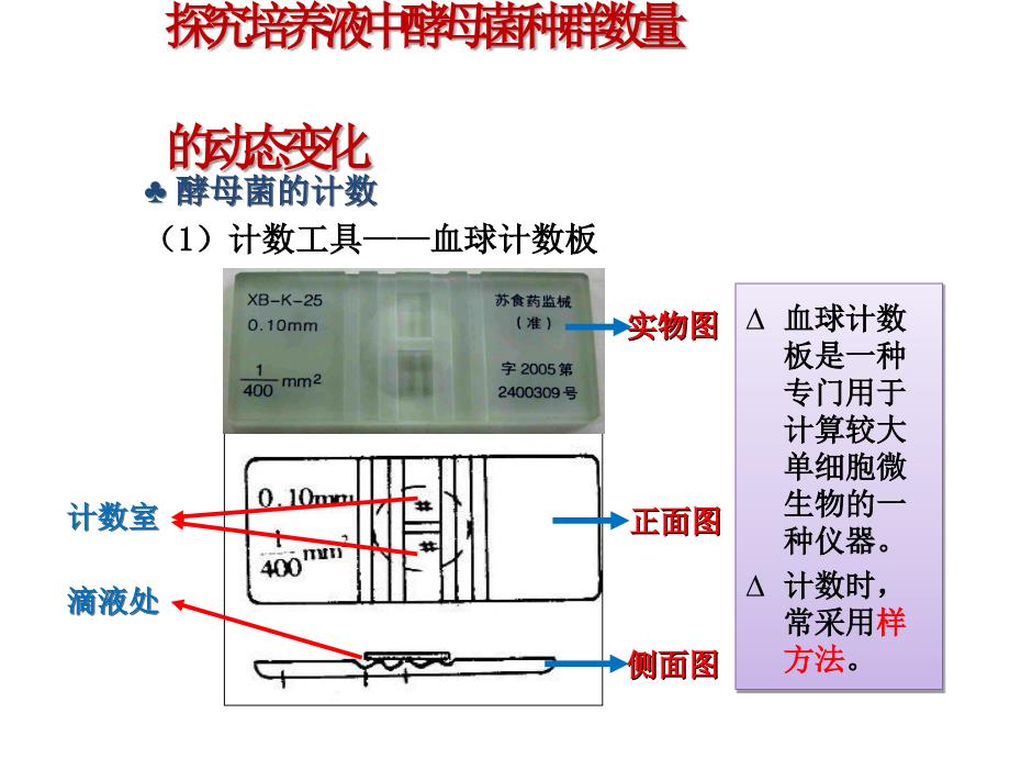 探究培养液中酵母菌种群数量的动态变化剖析_第3页