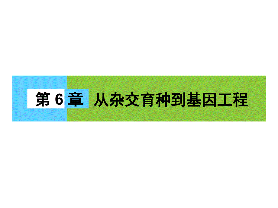 高二生物(人教版)杂交育种与诱变育种课件_第1页