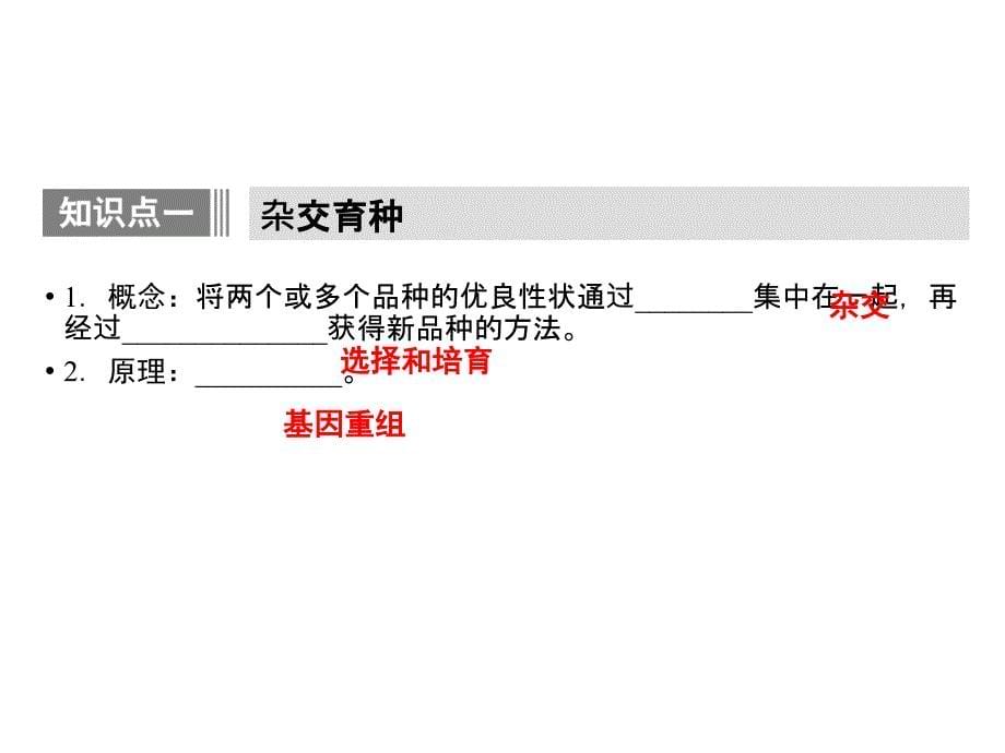 高二生物(人教版)杂交育种与诱变育种课件_第5页